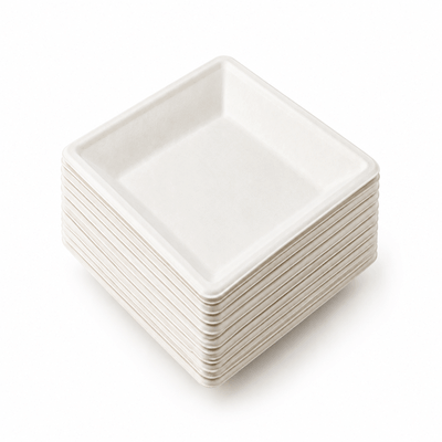Talíř BIO z cukrové třtiny 16x16 cm - 1 ks